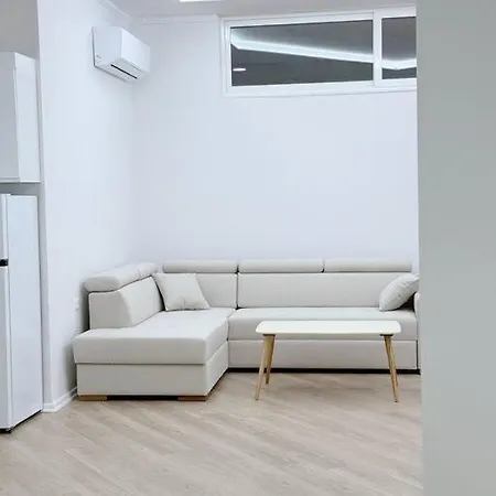 Aem 1 Bedroom Apt #8
